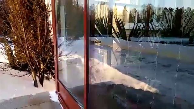 Виртуальная экскурсия «Ботанический сад»