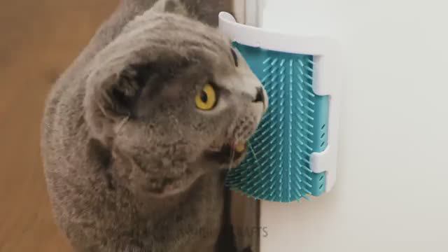 КЛАССНЫЕ ПОДЕЛКИ ДЛЯ ВЛАДЕЛЬЦЕВ ДОМАШНИХ ЖИВОТНЫХ/Милые поделки, забавные игрушки и полезные гаджеты