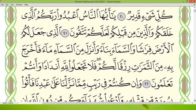 Шейх Айман Сувейд сура Бакара стр 4