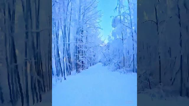 🎼Георгий Свиридов "Романс"( "Метель") ~ G.Sviridov "Romance"🌬️❄️🎶
