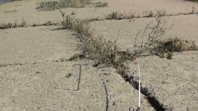 Рыбалка на Волге в г. Волжском 1 Часть