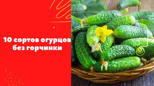 10 сортов огурцов, не дающие горечи.mp4