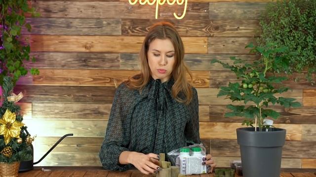 Посев капризной эустомы | Отличная всхожесть и рост рассады в 2 раза быстрее