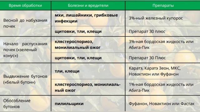ВЕСЕННЯЯ ОБРАБОТКА САДА: ПРЕПАРАТЫ, СРОКИ, ИНСТРУКЦИЯ. Опрыскивание деревьев и кустарников по почка