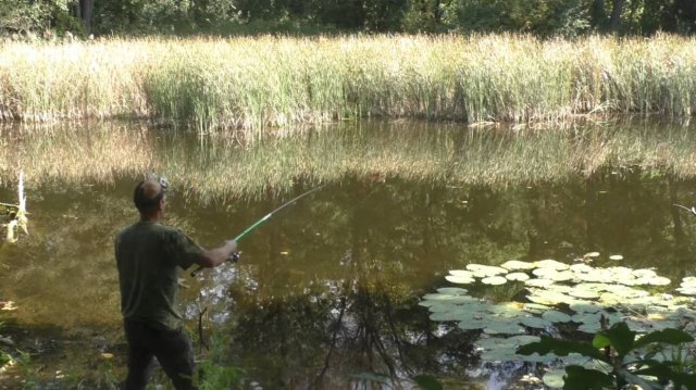 Рыбалка в сентябре,ловля карася на поплавок осенью.