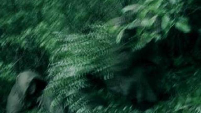 агата кристи звездочет