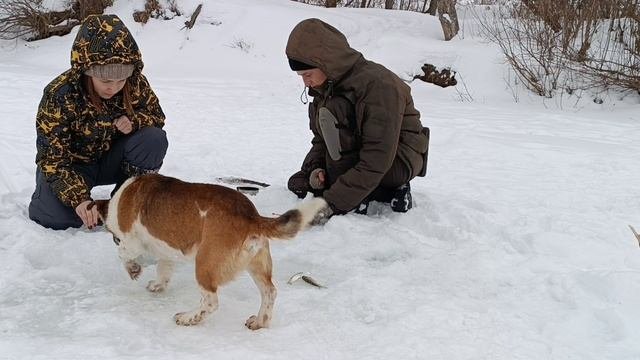 Рыбалка в деревне