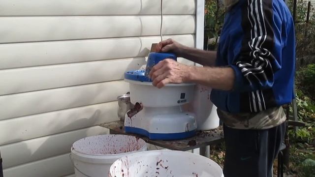 Как выжать сок из винограда. Соковыжималка " Нептун"