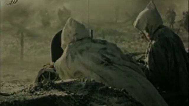 Алексей Матов - Чумой беда накрыла