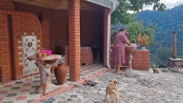 Курица в запеканке! Азербайджанская Кухня Деревенская Кухня  Рецепты