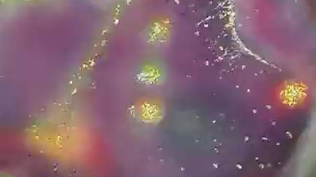 Живопись и Песня Виктории ПреобРАженской