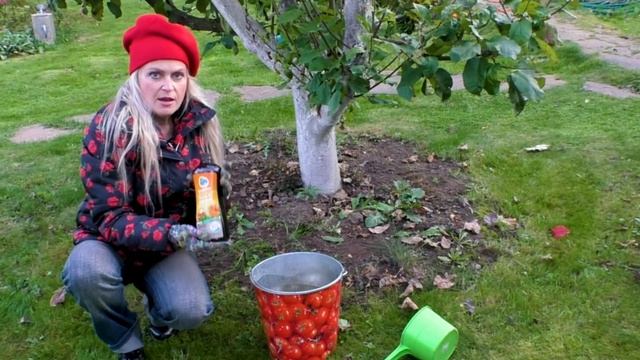 Осенние подкормки сада. Универсальное удобрение для роз, кустарников, плодовых деревьев.