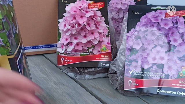 Садовые заметки,только про сад.Посылка с саженцами от агрофирмы Поиск.Клематисы,флоксы,гортензия.