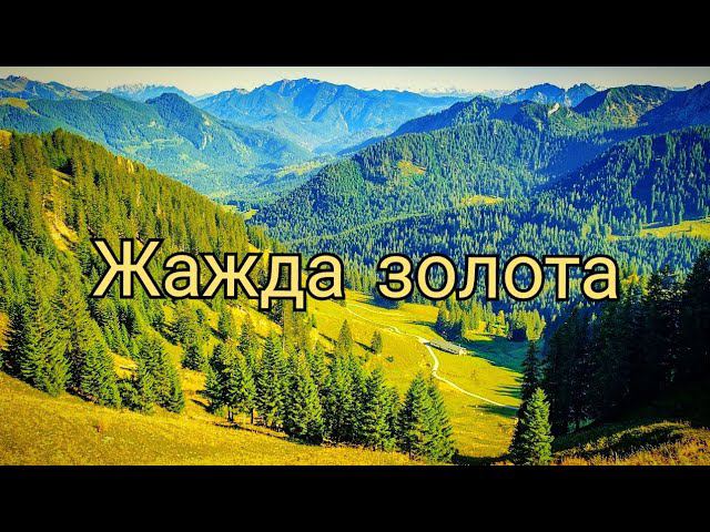 Жажда золота