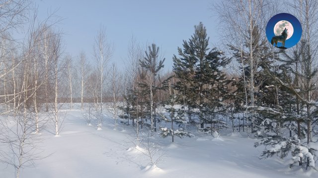 ОХОТА НА ЛУНКАХ * БРИТЫЙ РЯБЧИК * ЗАЯЧЬИ КАЗЕМАТЫ