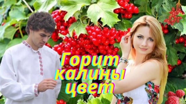 Горит калины цвет!