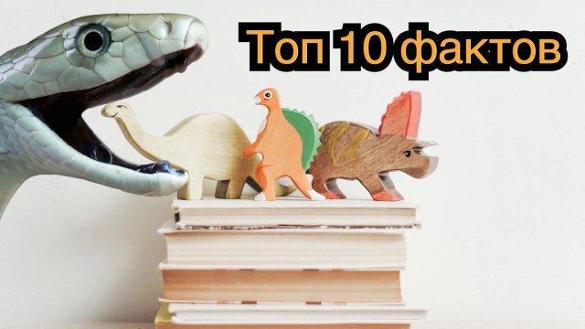 Топ 10 интересных фактов! Лучшая подборка