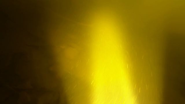 неожиданная встреча с хозяином Волги.