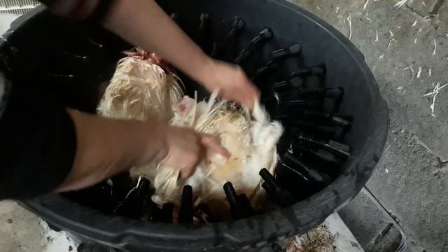 Перосъемная машина! Своими руками!