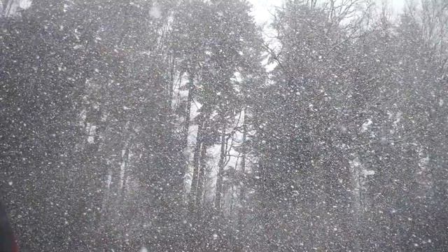 ❄❄❄падает снег/фоновая заставка ❄❄❄ на телевизор