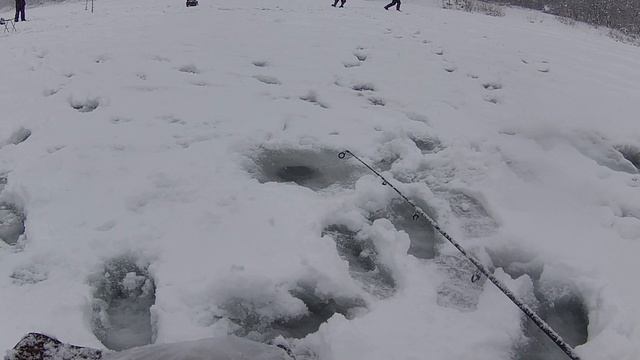 1 января: "Зимняя сказка и заблудившийся "Олень", рыбалка на реке Дон, г.Павловск.