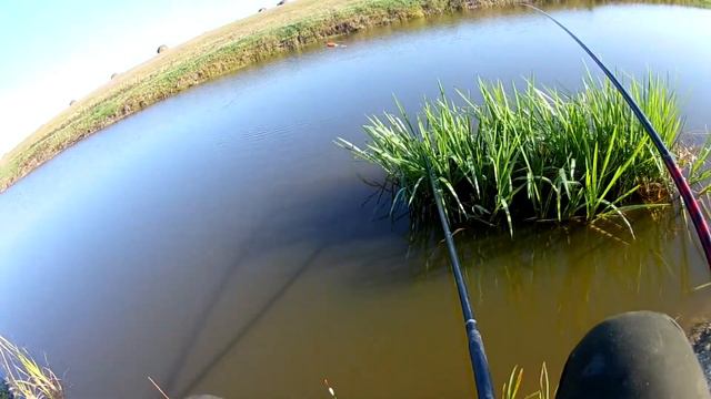 КАРАСЬ В НОЯБРЕ! На что можно поймать осенью карася!