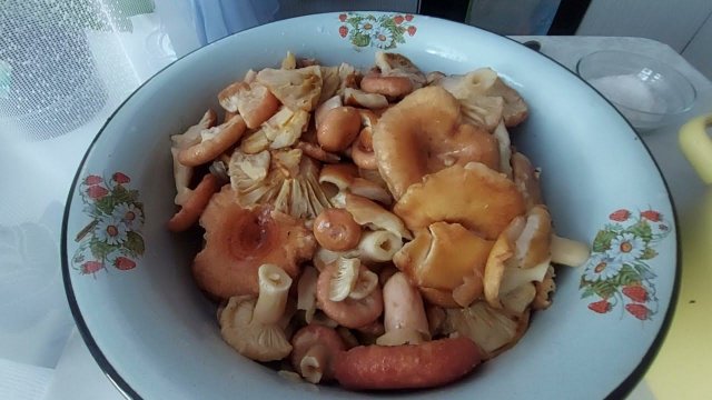 Засолка грибов. Как я солю волнушки.