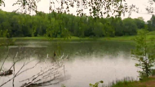 ПРОГУЛКА ПО КП ЛЕСНОЕ ОЗЕРО - 2021 год