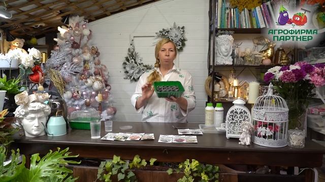 Пора сеять эустому!