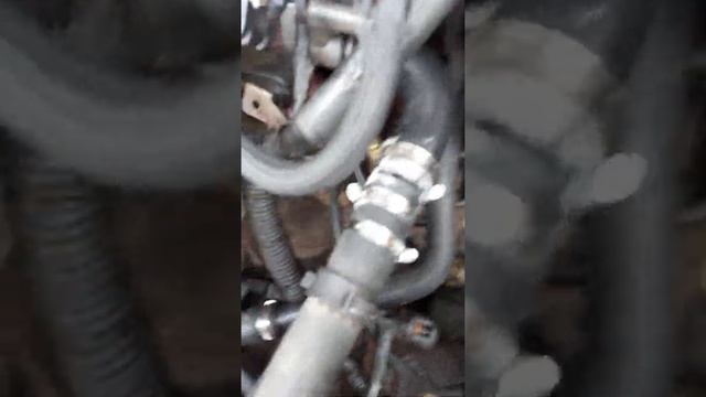 Решение перегрева двигателя Форд Фокус 2