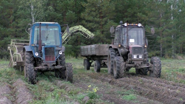 Продолжаем уборку картофеля картофелекопалками
