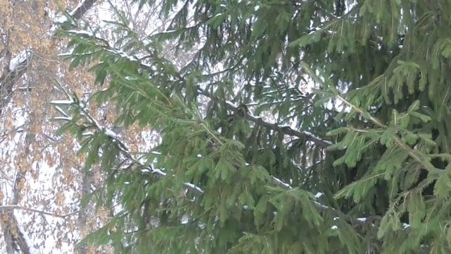 Исцеление от диабета Для женщин Лечебные настрои академика Сытина Г.Н.