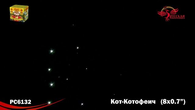 Салют Кот-котофеич 8 залпов