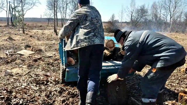 ✅Возим дрова на мотоблоке мтз беларус 09Н