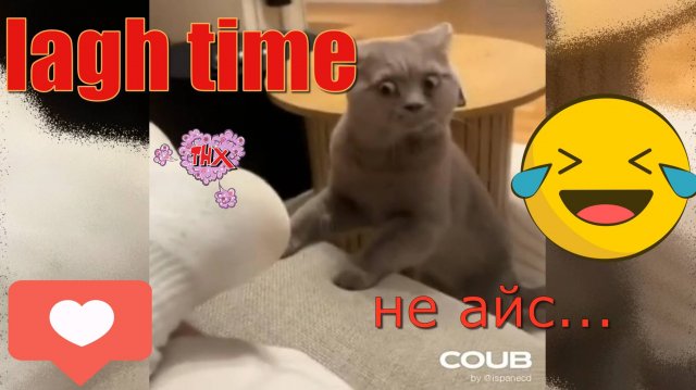 ПОПРОБУЙ НЕ ЗАСМЕЯТЬСЯ, РЖЫ НЕ МОГИ 999% 7 минут СМЕХА ПОДБОРКА ПРИКОЛОВ СМЕШНЫЕ ВИДЕО 2024