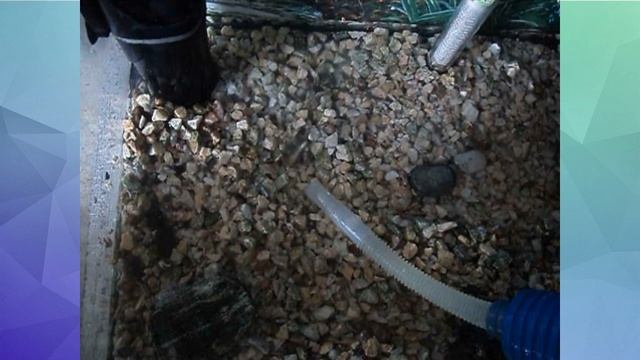 Островок для черепахи своими руками