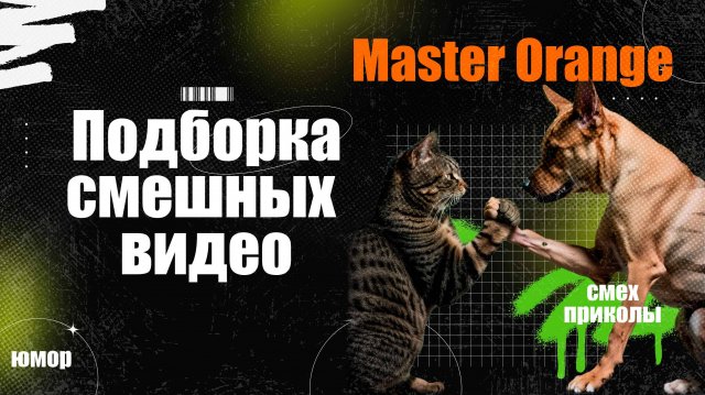 Животные, Которые Разбудят Ваш Смех