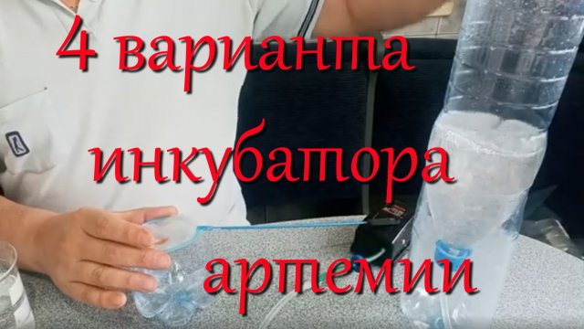 Бульбулятор для выращивания артемии: получаем чистых науплий без шелухи для кормления малька
