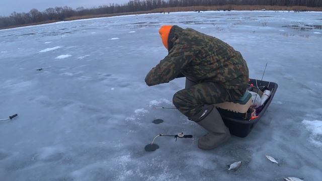 Сумасшедший Клев Не Успеваю Доставать Рыбу из Лунки Ловля Белой Рыбы Зимой на Течении Рыбалка 2021