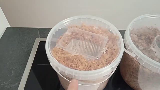 Лучший субстрат для ежовика. И других грибов. (Урожай грибов в два раза выше.)