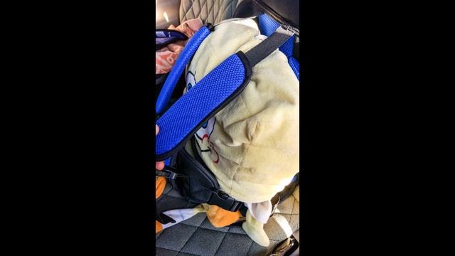 Автомобильное детское удерживающее устройство | #Обзор