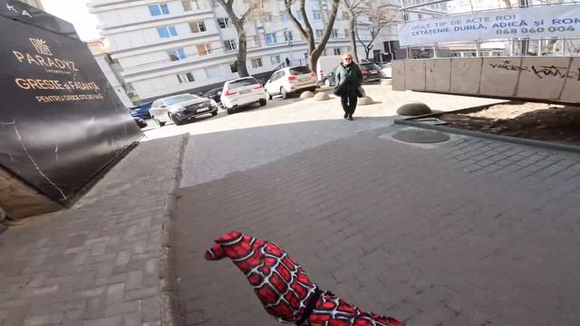 SPIDER MAN HELPED A CRAZY GIRL AND REGRETED THAT I DID IT (Parkour POV Love Best)