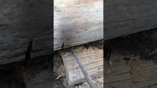 КАК ПОДНЯТЬ ТЯЖЕЛЫЙ ДОМ БЕЗ ФУНДАМЕНТА!