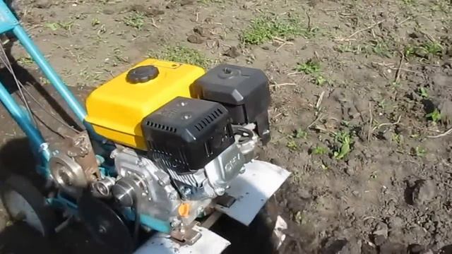 Культиватор Крот в работе