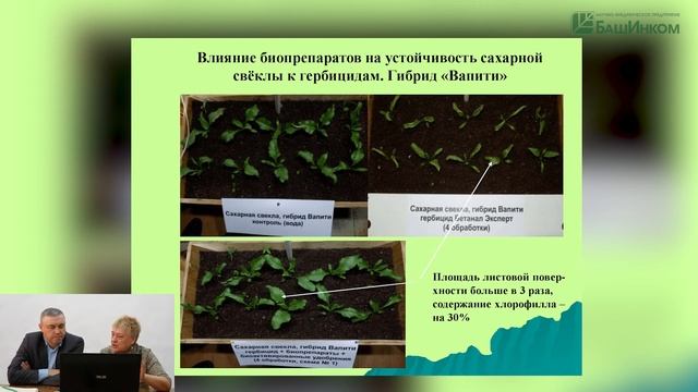 Как повысить устойчивость растений к стрессам  Смотрите вебинар
