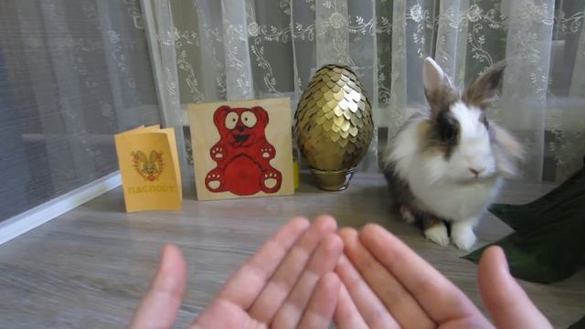 ПОМОЖЕМ КАНАЛУ ПОЗНАВАТЕЛЬ ! КРОЛИК БАФФИ И ЖЕЛЕЙНЫЙ МЕДВЕДЬ ВАЛЕРА ПРОТИВ ЖУЛИКОВ