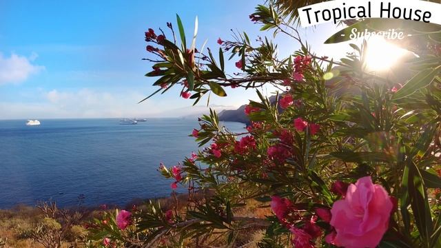 ЛЕТНЯЯ МУЗЫКА ДЛЯ ОТДЫХА % SUMMER MUSIC