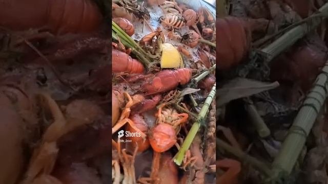 РАКИ