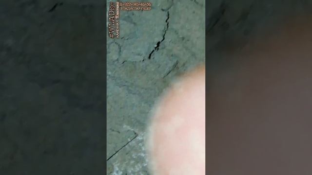 Сырьё для изготовления.. Каменная Гибкая Доска #WLADisc