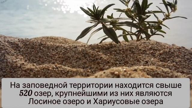 ЗАПОВЕДНАЯ ПРИРОДА/ День заповедников и национальных парков